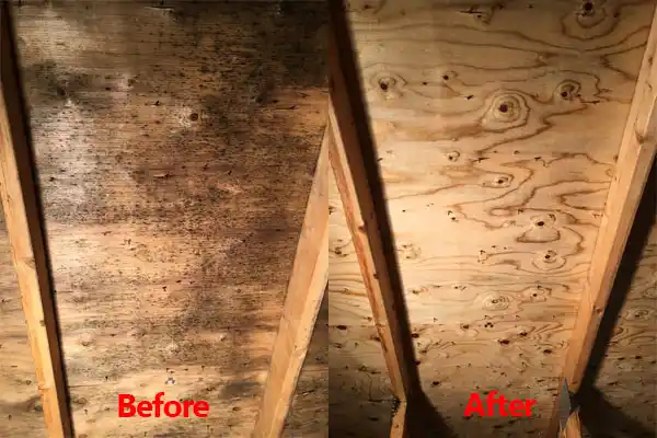 water damage restoration service Belle